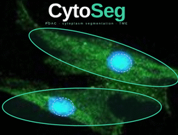 CytoSeg