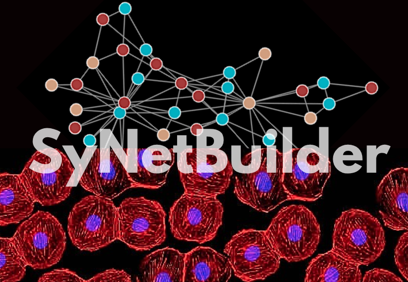 SyNetBuilder